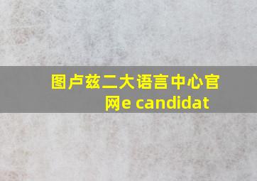 图卢兹二大语言中心官网e candidat